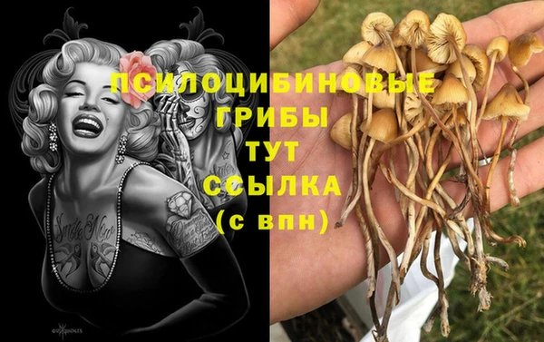 трава Алексин