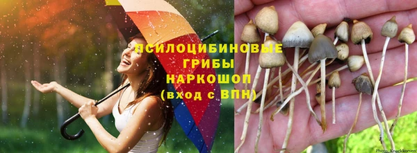 тгк Алзамай