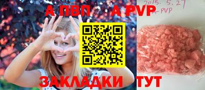 стафф Краснознаменск